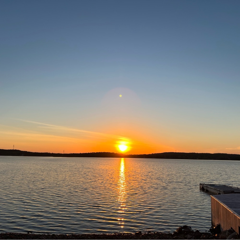 Meet your Posher, Dawson